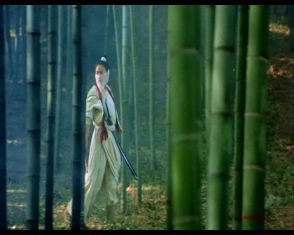 PDVD_006.jpg
