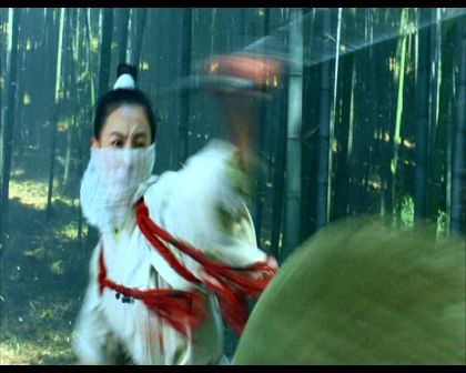 PDVD_048.jpg