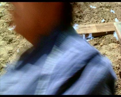 PDVD_1470.jpg