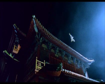 PDVD_411.jpg