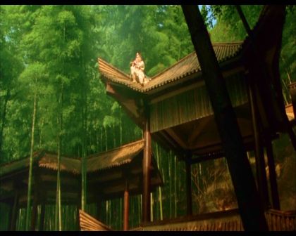 PDVD_510.jpg