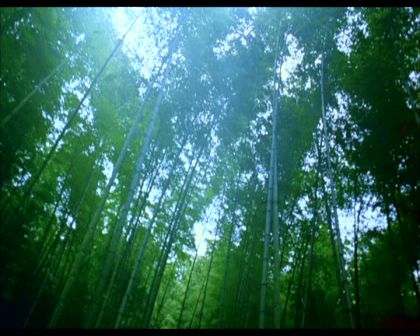 PDVD_518.jpg