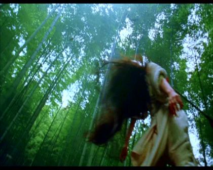 PDVD_519.jpg