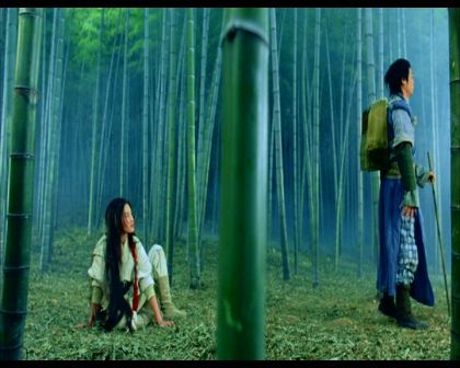 PDVD_530.jpg