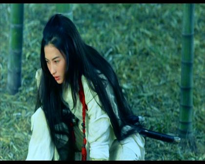 PDVD_533.jpg