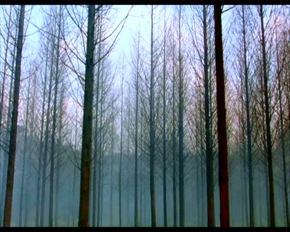 PDVD_563.jpg