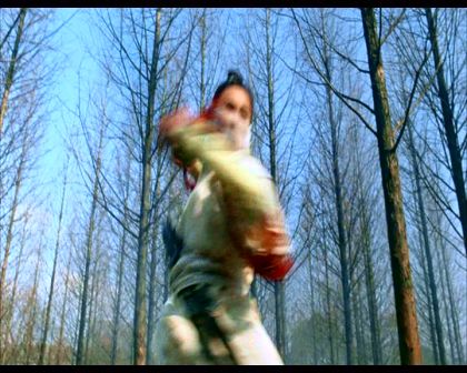 PDVD_579.jpg