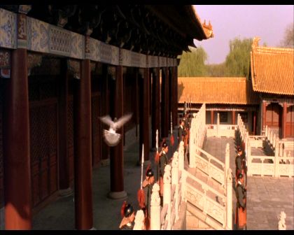 PDVD_785.jpg