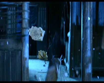 PDVD_840.jpg