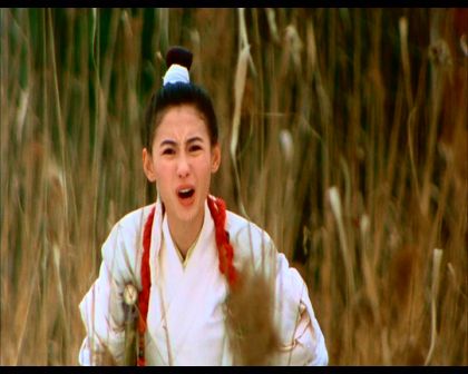 PDVD_931.jpg