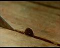 PDVD_1210