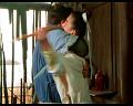 PDVD_1240