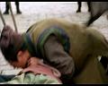 PDVD_1295