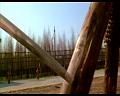 PDVD_1415