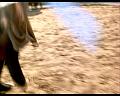 PDVD_1430