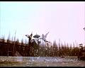 PDVD_1434