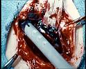 PDVD_356