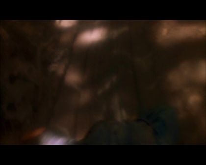 PDVD_2247.jpg