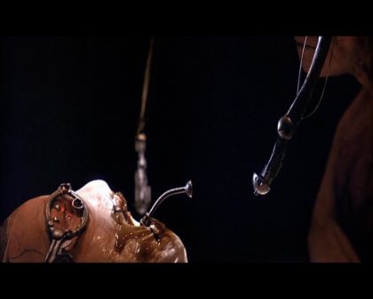 PDVD_2353.jpg