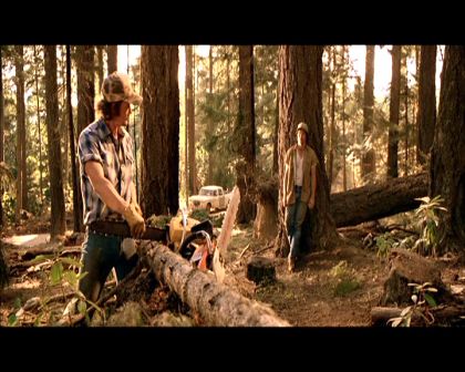 PDVD_450.jpg
