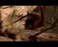 PDVD_921