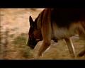 PDVD_924