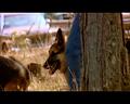 PDVD_925