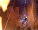 PDVD_1323