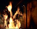 PDVD_1355