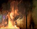 PDVD_1362