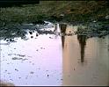 PDVD_2153