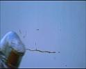PDVD_2189