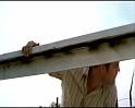 PDVD_537