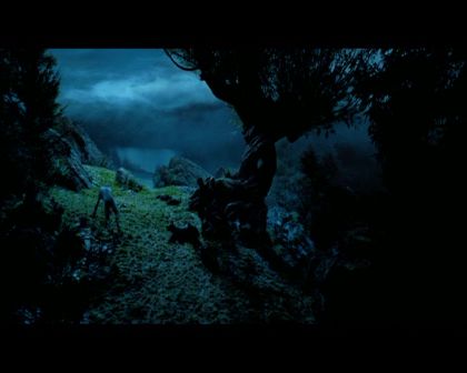 PDVD_2238.jpg