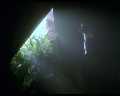 PDVD_1225.jpg