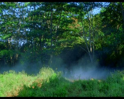 PDVD_1421.jpg