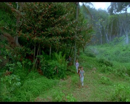 PDVD_2305.jpg