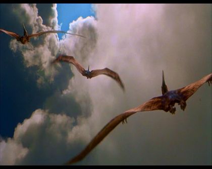 PDVD_2383.jpg