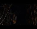 PDVD_1819