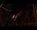 PDVD_1820