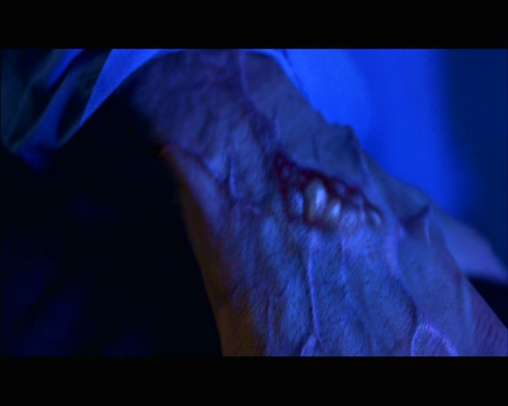 PDVD_1163.jpg