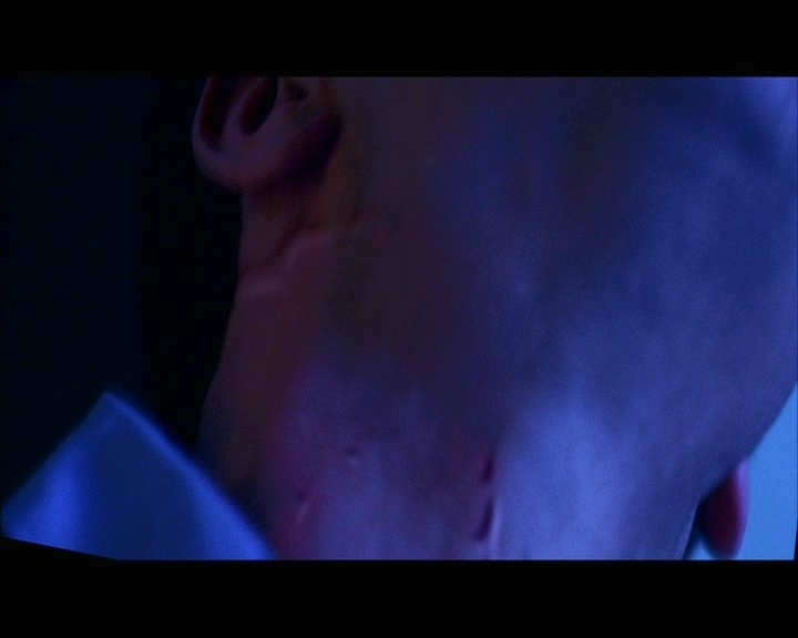 PDVD_1173.jpg