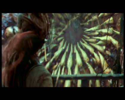 PDVD_3464.jpg