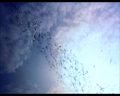 PDVD_2181.jpg