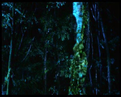 PDVD_081.jpg