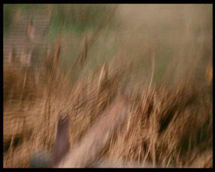 PDVD_1062.jpg