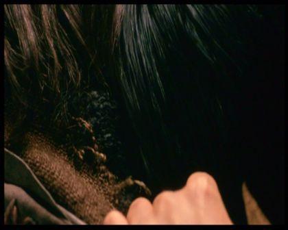 PDVD_1181.jpg