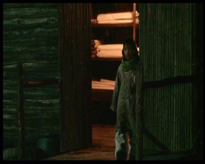 PDVD_1233.jpg