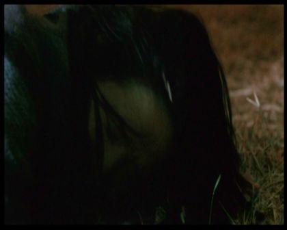 PDVD_1243.jpg