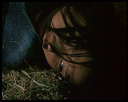 PDVD_1249.jpg